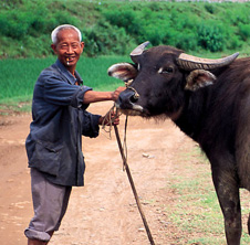 小型飼料顆粒機(jī),農(nóng)民圓夢！